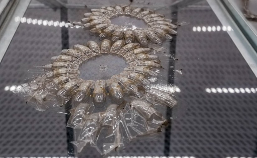 Powrót do normalności?